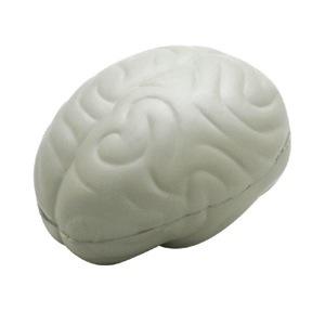 Stress Shape Brain